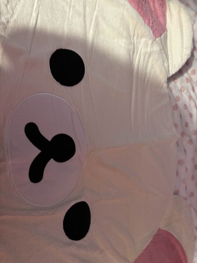 kawaii haul 