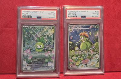 POKEMON HAULING
