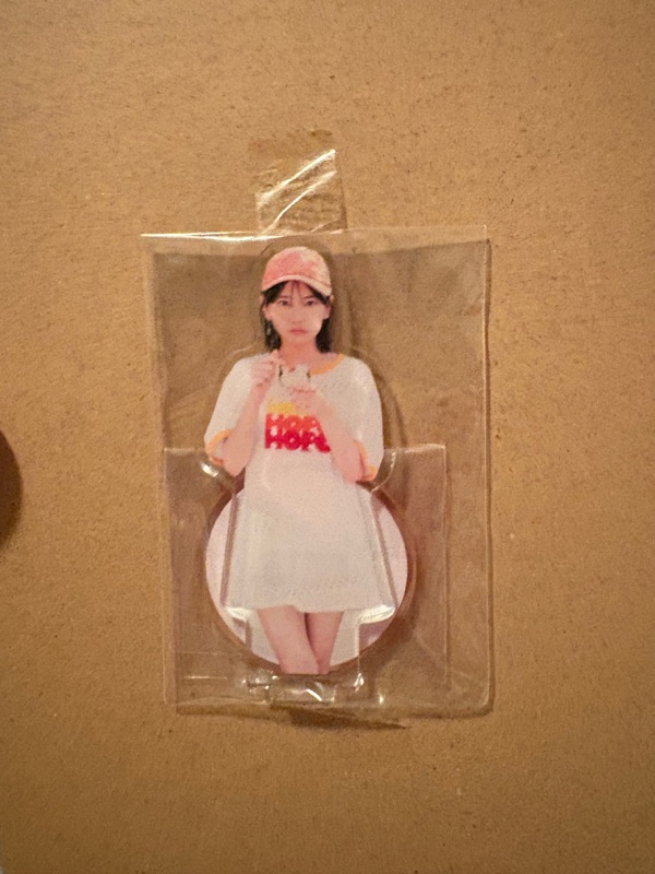 Doorzo - The ultimate Japan proxy shopping service.