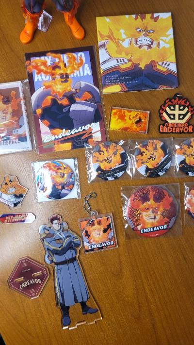 Endeavor merch haul 