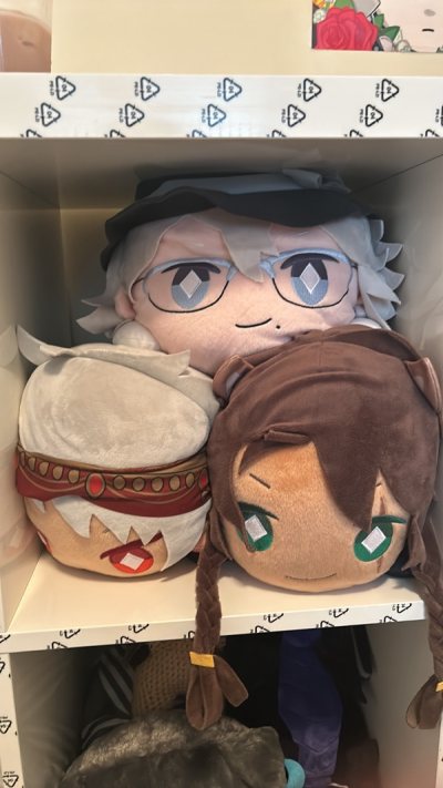 Twst haul 