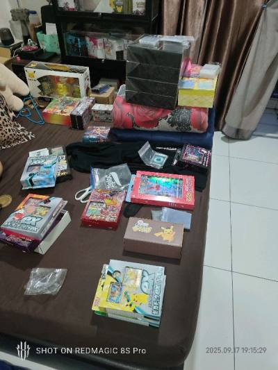 Pokemon collection bulk purchase