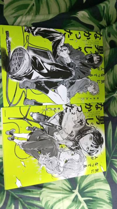 Manga Haul