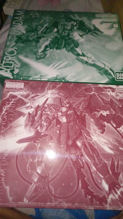 Gundam Altron MG/Gundam Epyon MG (Sturm und Drang Unit)