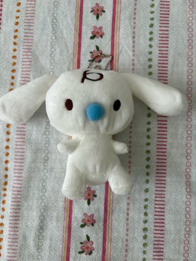 cinnamoroll haul