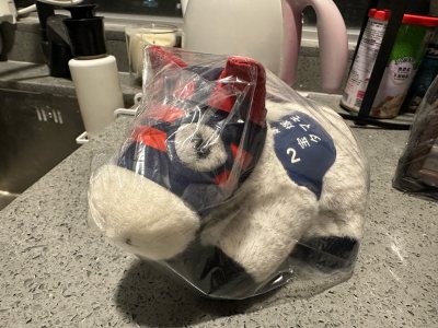 兩隻絕版中古馬
