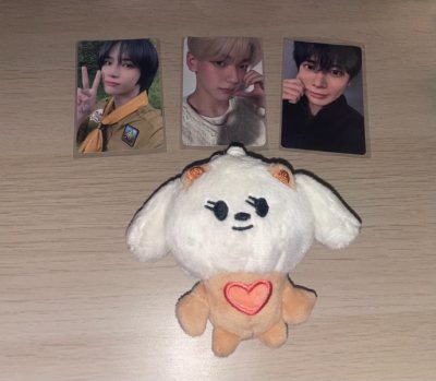 TXT ppulbatu bamgeut plush keyring ver 1 + photocards!