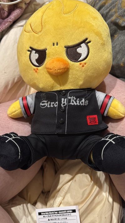 Amazing and came in time so adorable and well packed 
