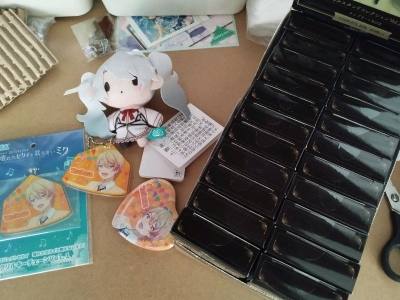 project sekai and twisted wonderland doorzo shopping haul 
