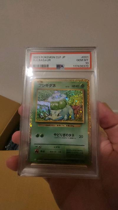 20th Doorzo Haul