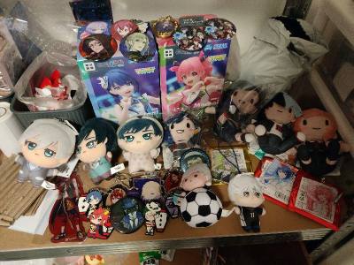 twisted wonderland, blue lock and project sekai order DOORZO haul 