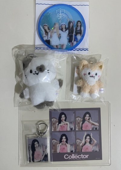 瘋狂購入的開始