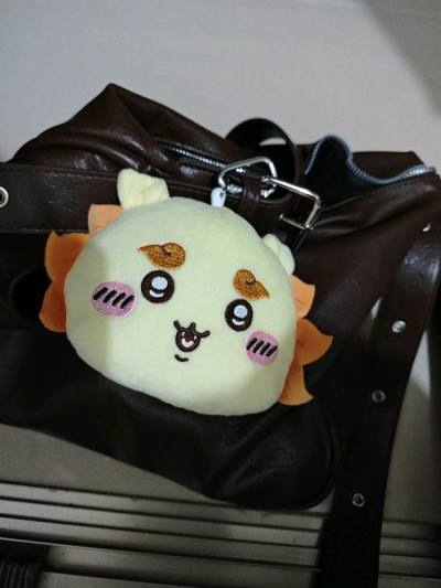 又到了尋寶時間