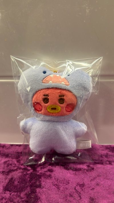 Perfectly Packed Japan BT21  Carousel Order – Smooth Reliable Service