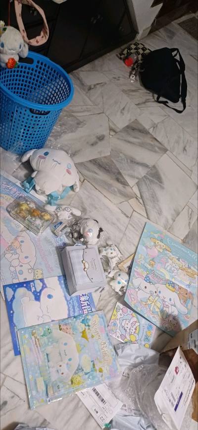 cinnamoroll haul