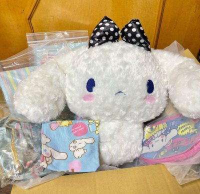 Doorzo mercari代購初體驗