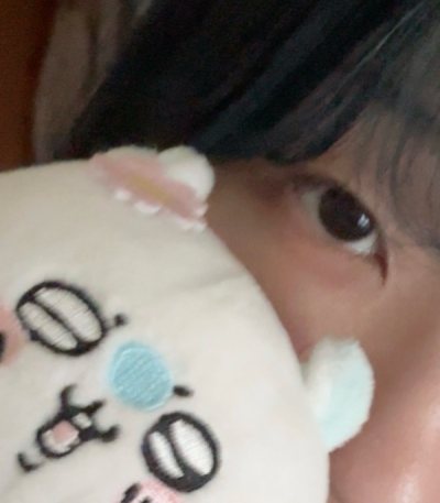 超級可愛的飛鼠