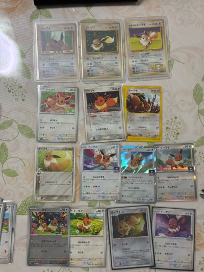 I am so glad all my eevee and chopper cards arrived safely! They are all so cute. Parcel was very well handled by doorzo staff too. K...