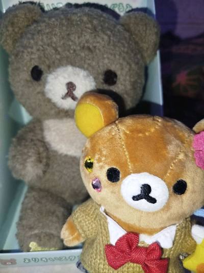 Second Doorzo Order!