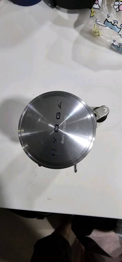 Daiwa ryoga bay jigging