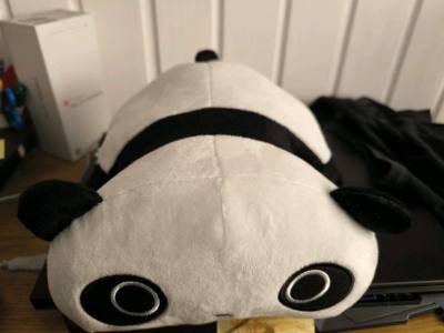 peluche de panda y primera compra