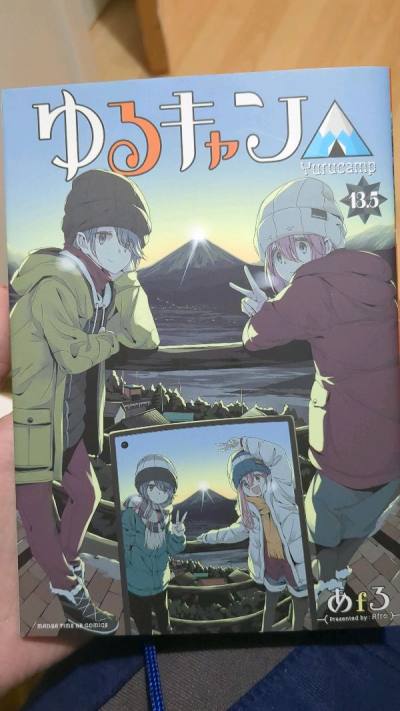 I fine additional to my collection 