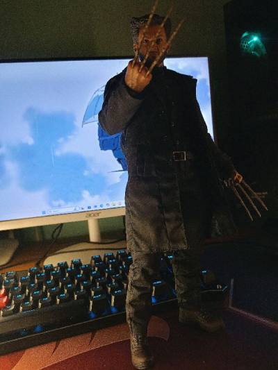 In love with this wolverine figure!