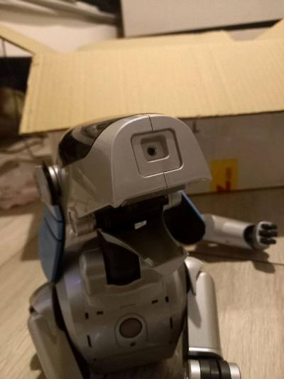Best place for my aibo addiction