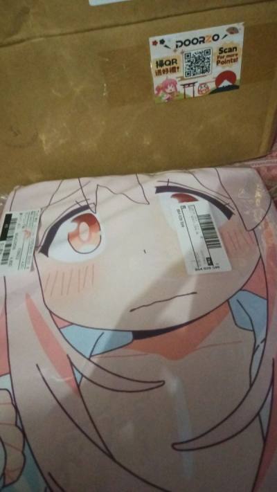 Body pillow cover