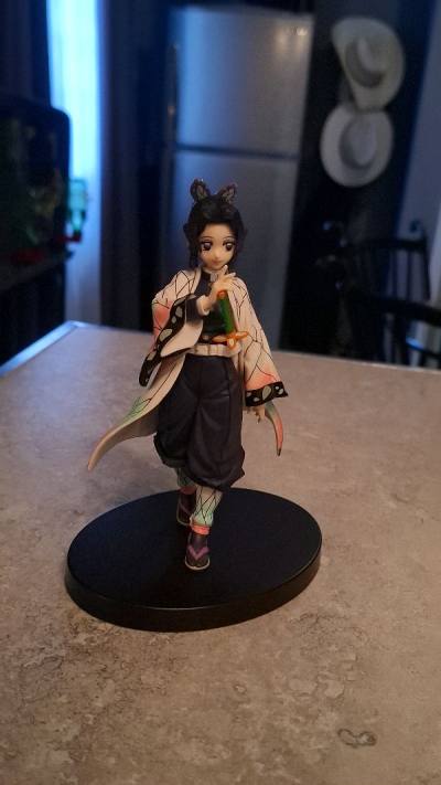 Llegaron mas rapido de lo que pense