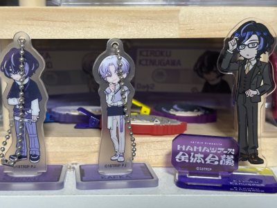 Oshi Merch Review for Doorzo