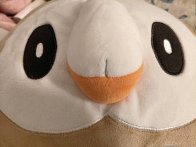 First Doorzo experience