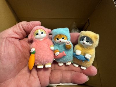 This is my 4th package and I can’t stop. The products are always packed well in a very sturdy box. This time I bought some sylvanian ...