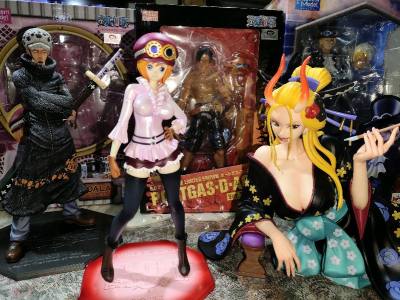 11th successful haul from doorzo