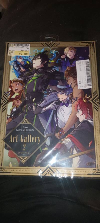 This is my second order from doorzo