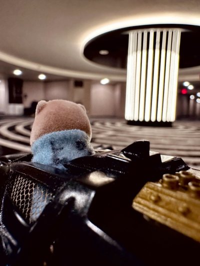 A partner in adventure! 