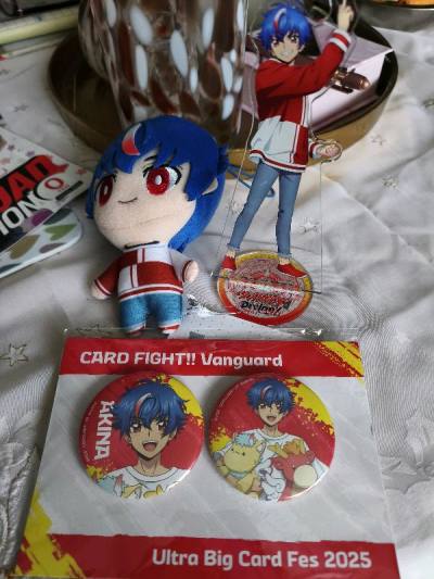 Tiny Cardfight Vanguard haul