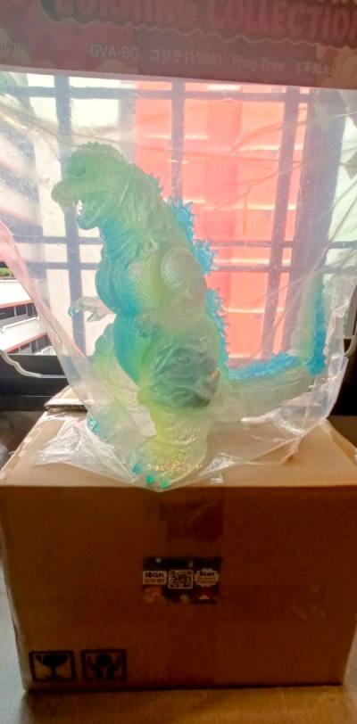 MY 16TH HAUL FROM DOORZO!