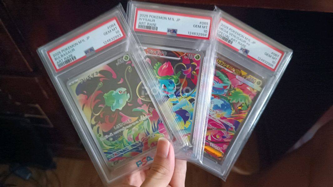 Doorzo high value purchase! - Shopping Review | Doorzo