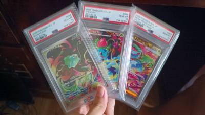 Doorzo high value purchase!