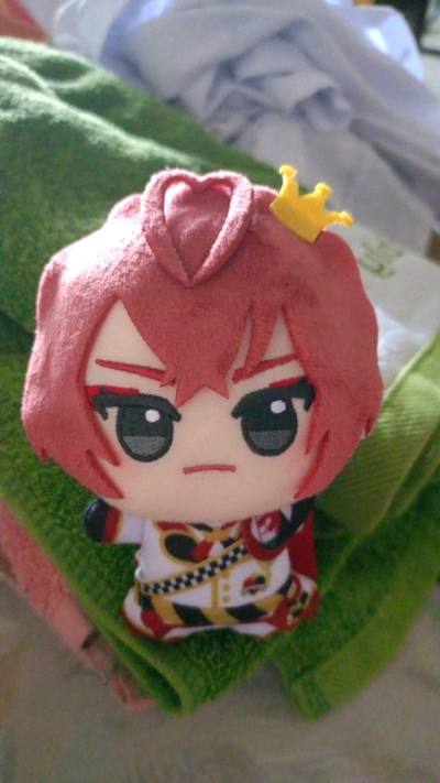 My experience with doorzo