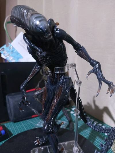 ✨ My Adorable Doorzo Toy Treasures!