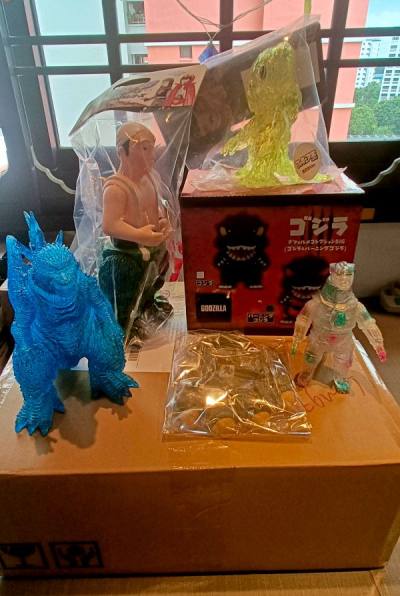 MY 17TH HAUL FROM DOORZO!