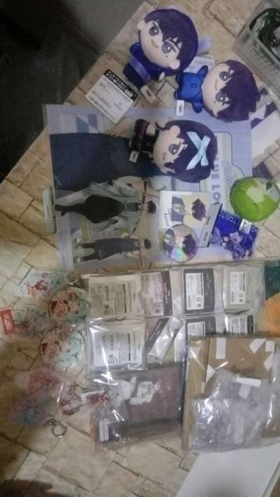 BLUE LOCK AND TWISTED WONDERLAND HAUL