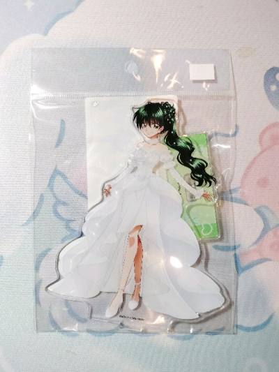 My dream acrylic stand arrived!