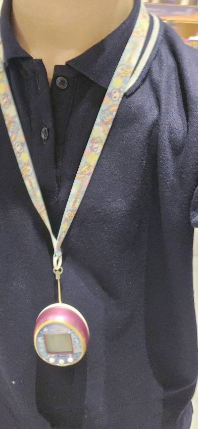 Tamagotchi 4U Received!