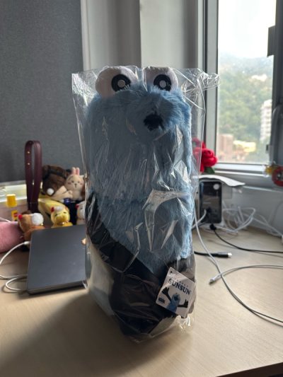 日本最hit嘅Sun Sun!!!