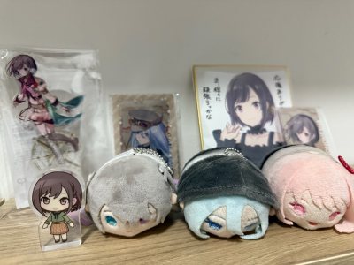 8th purchase from Doorzo