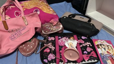 bags, figure, and book