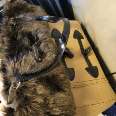 Kate spade bag haul